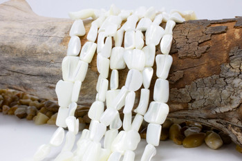 Natural Troca Shell White 10-15mm Polished Nugget