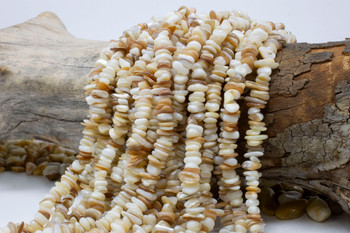 Natural Shell 6-9mm Polished Chips