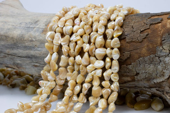 Natural Troca Shell 7-11mm Polished Nugget